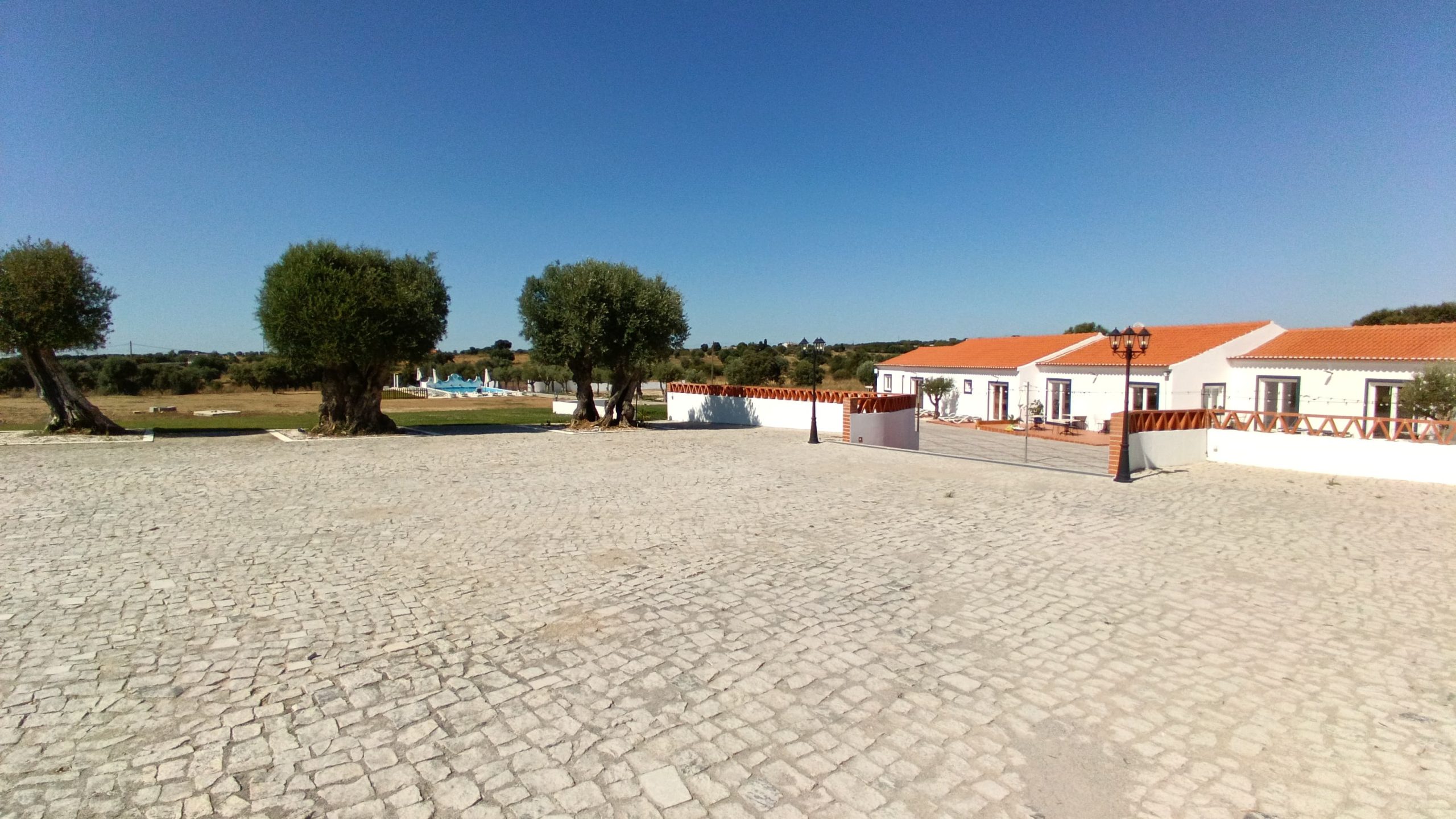 WhatsApp Image 2024-07-19 at 16.38.02-min